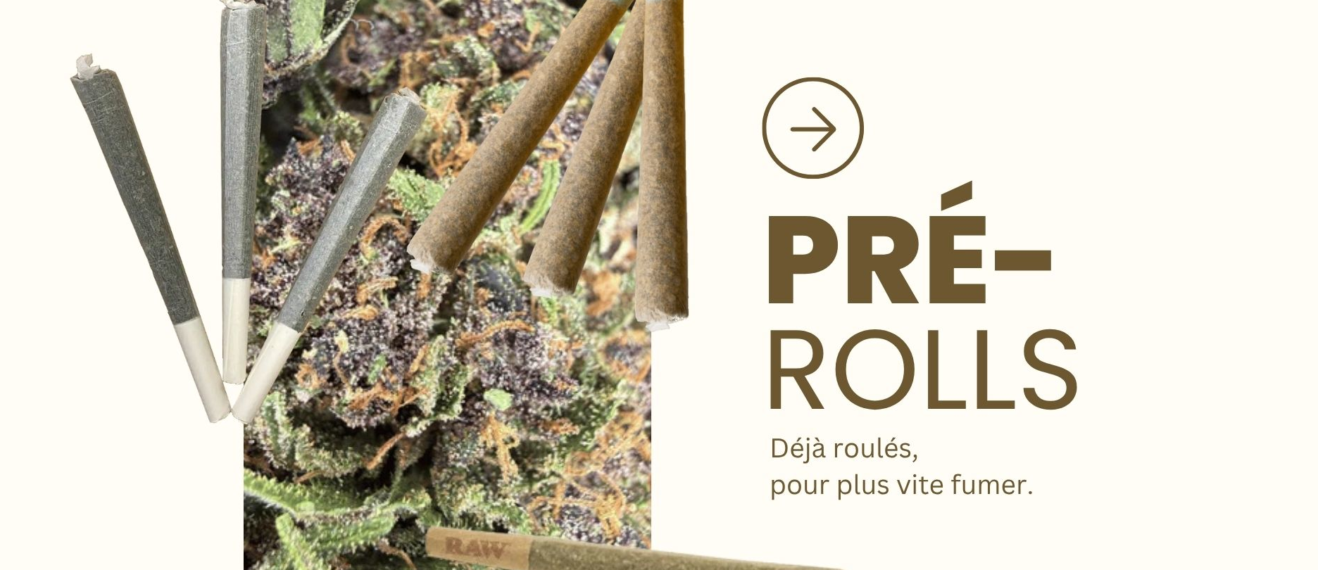 Pré Rolls CBD