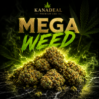 Méga Zombie Weed
