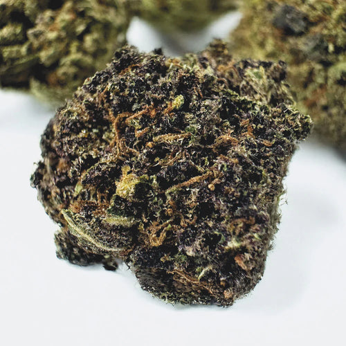 Mango Haze - Indoor
