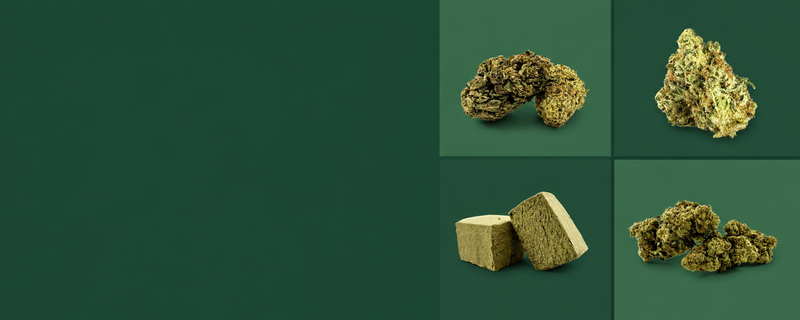 Molécule THC+