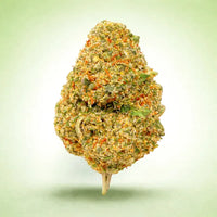 Fleur CBD Amnesia 2.0 Indoor — Kanadeal