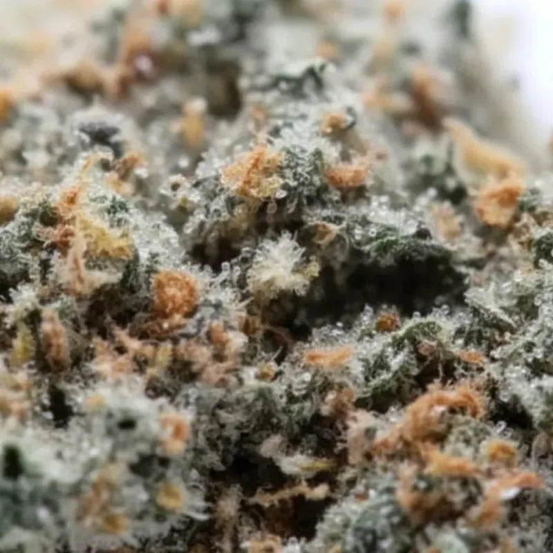 Fleur CBD OG Kush zoom — Kanadeal