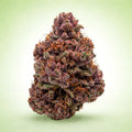 Fleur CBD Strawberry Indoor — Kanadeal