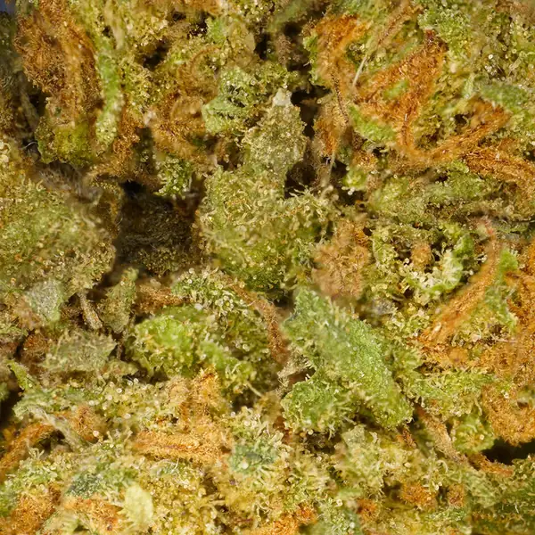 Fleur CBD Strawberry zoom — Kanadeal