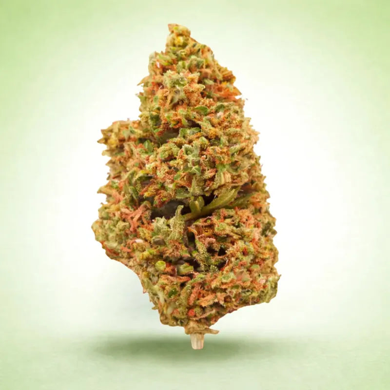 Fleur CBD Super Lemon Indoor — Kanadeal