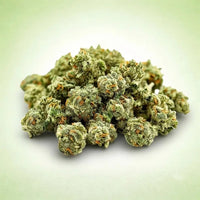 Gelato (small bud)
