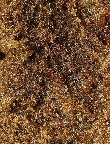 Résine CBD Critical Haze zoom — Kanadeal