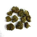 Small Bud Berry – Glasshouse